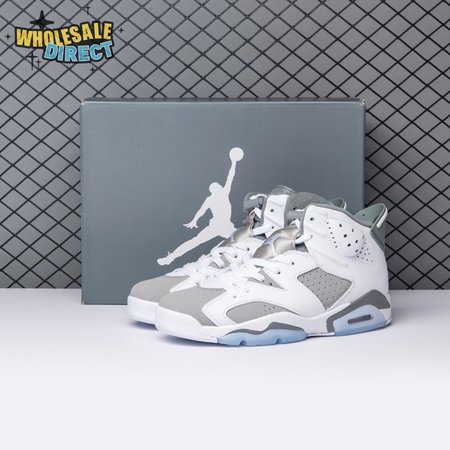 Air Jordan 6 Cool Grey CT8529-100 Men's