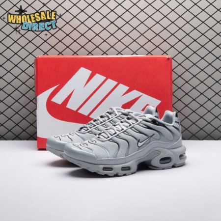 Nike Air Max Plus Wolf Grey 852630-021 Unisex